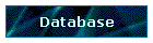 Database